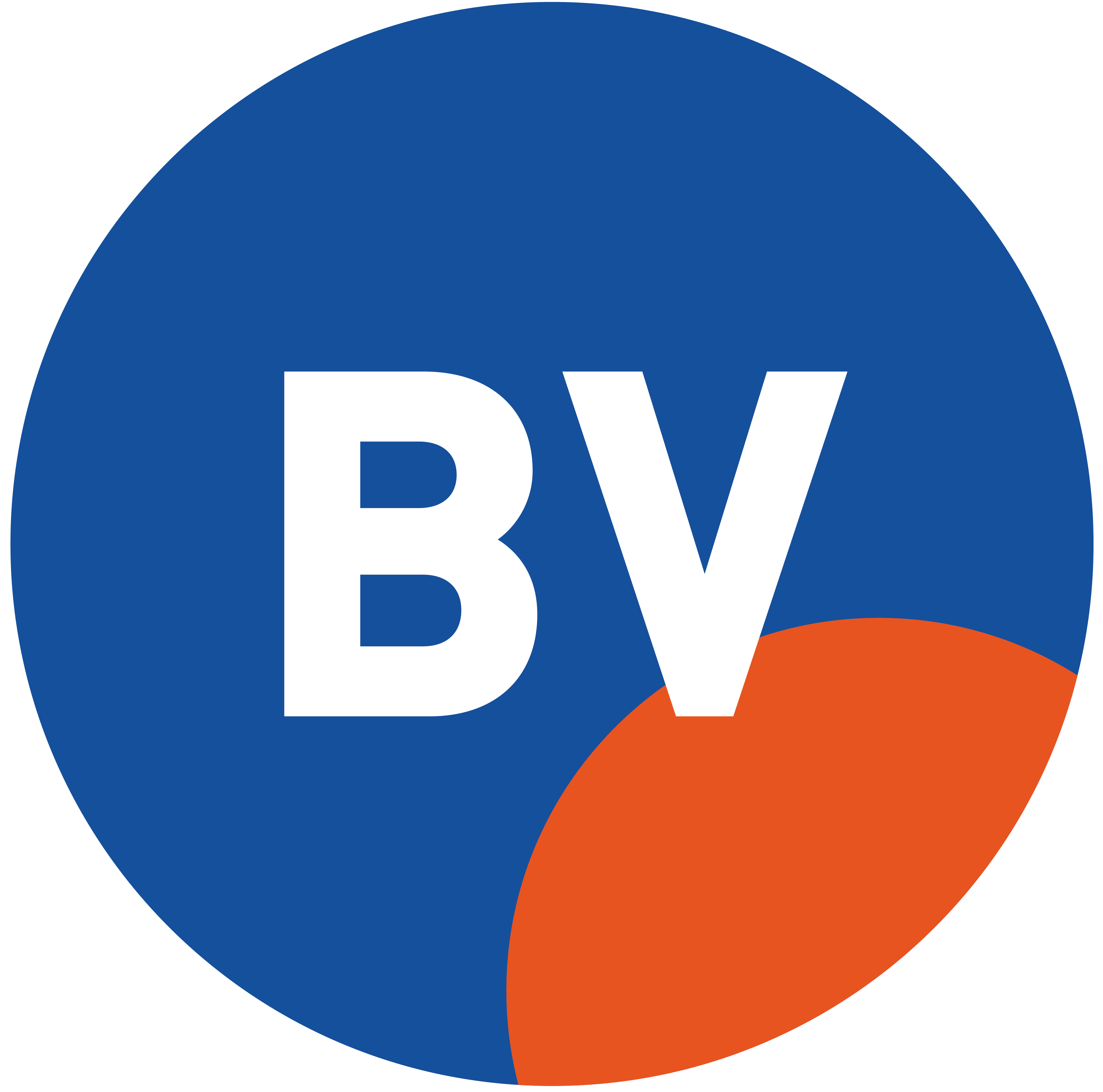 logo bleu vif agence de communication et packaging au pays basque